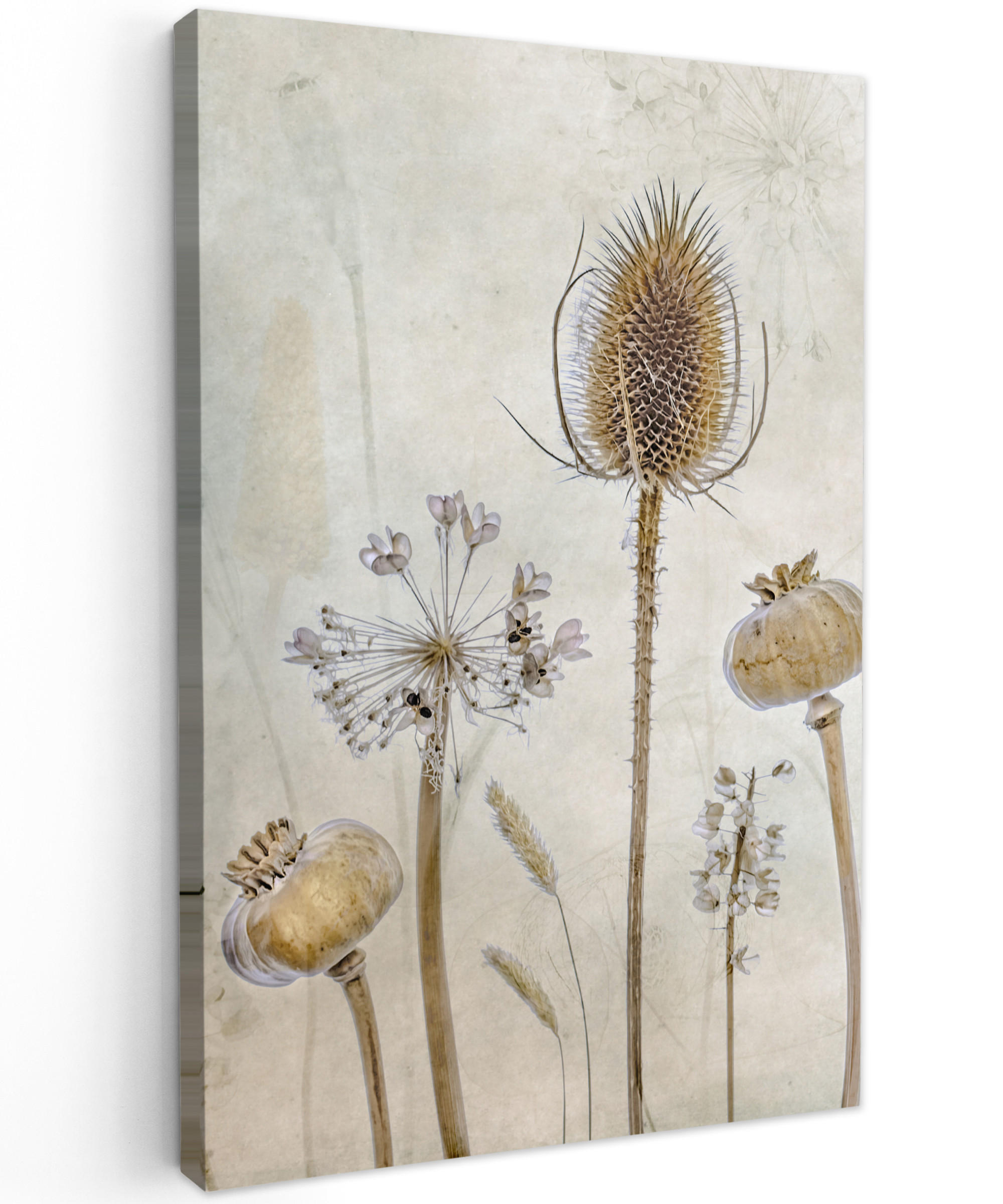 MuchoWow OBRAZ NA PLÁTNĚ Květiny - Akvarel - Zátiší - Hnědá - Vintage 60x90 cm