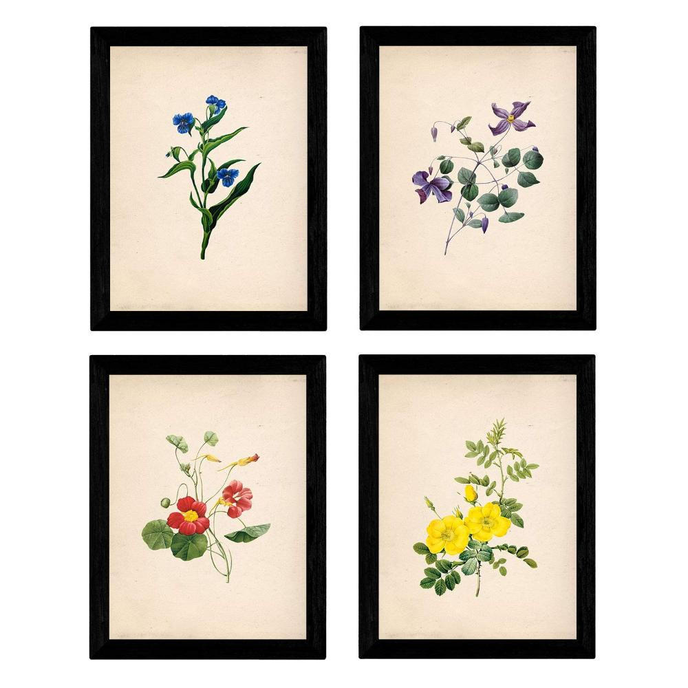 POSTER Set mit 4 Botanische Papier Hintergrund farbige Blumen A3 Rahmenlos - Klar, Papier (29.7/3cm) - Nacnic