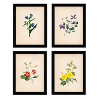 POSTER Set mit 4 Botanische Papier Hintergrund farbige Blumen A3 Rahmenlos - Klar, Papier (29.7/3cm) - Nacnic