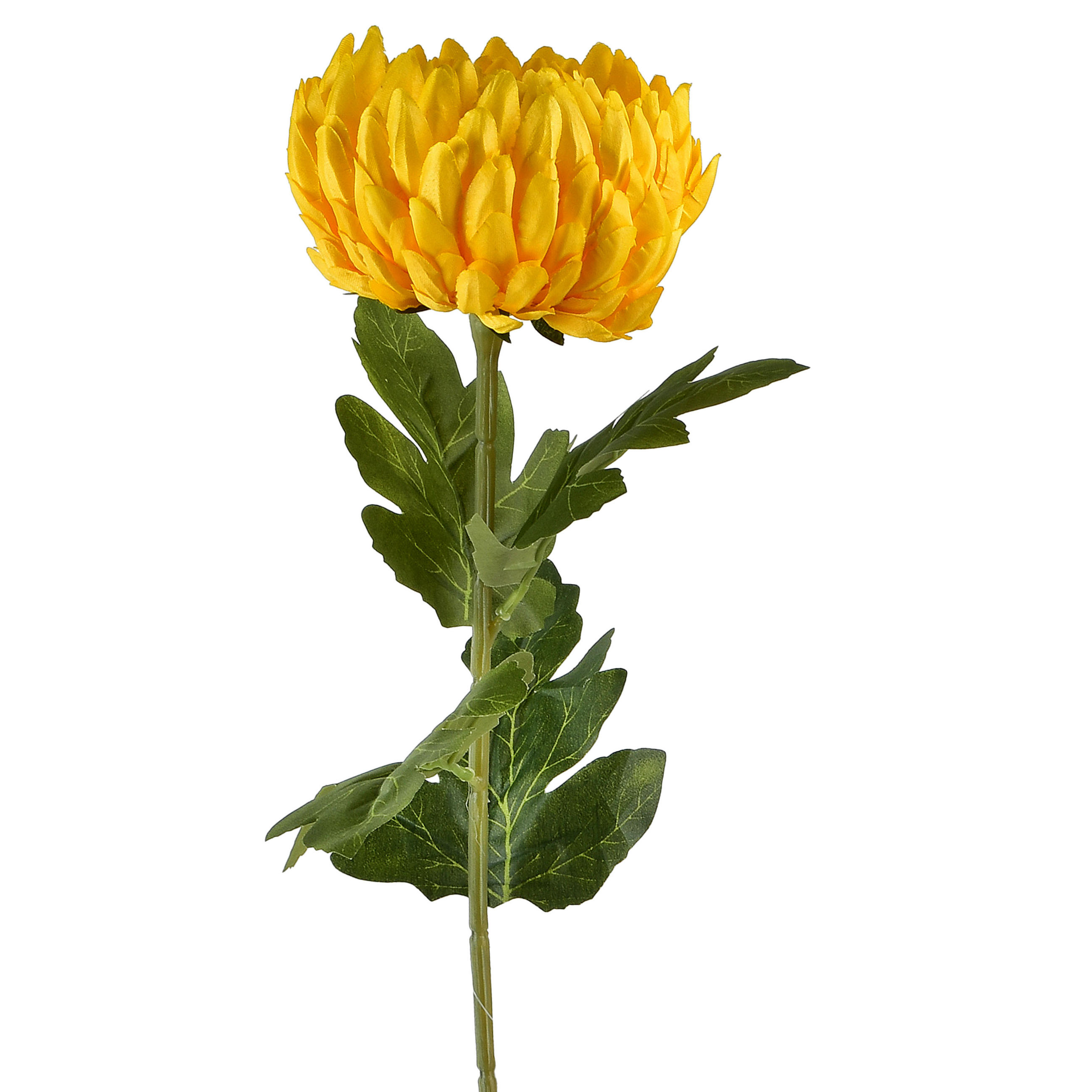 KÜNSTLICHE CHRYSANTHEME VIRIDIS Gelb 73cm - Gelb, Kunststoff (75cm) - Mondex