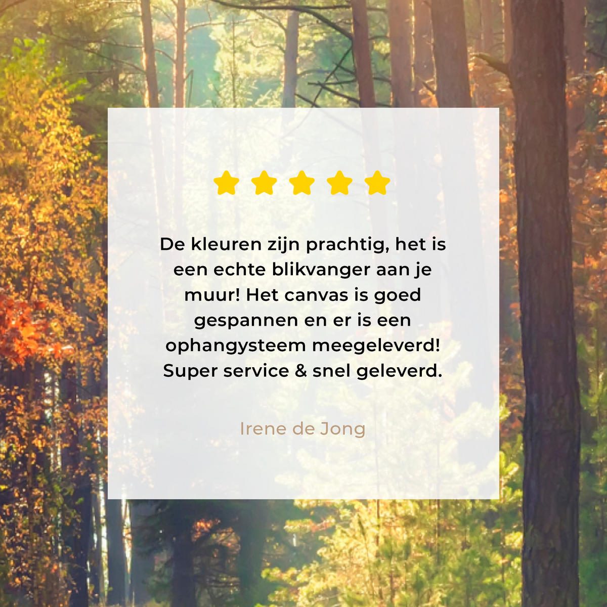 LEINWANDBILD Wald - Herbst - Bäume Wanddeko 40x60 cm - Dunkelgrün, Textil (40/60cm) - MuchoWow