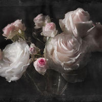 FOTOTAPETE Blumen 254 x 184 cm - Schwarz, Papier (254/184cm) - Sanders & Sanders