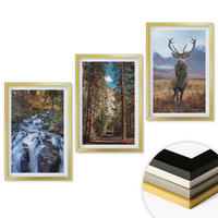 WANDBILDER 3er Set - 40x60 cm Goldrahmen - Wasserfall Wald Berge Hirsch Natur - Goldfarben, Kunststoff (40/60cm) - ArtPrintCave
