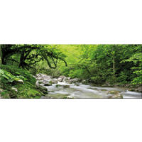 GLASBILD 80x30 cm Wald Grün - Beige, Glas (80/30cm) - artissimo