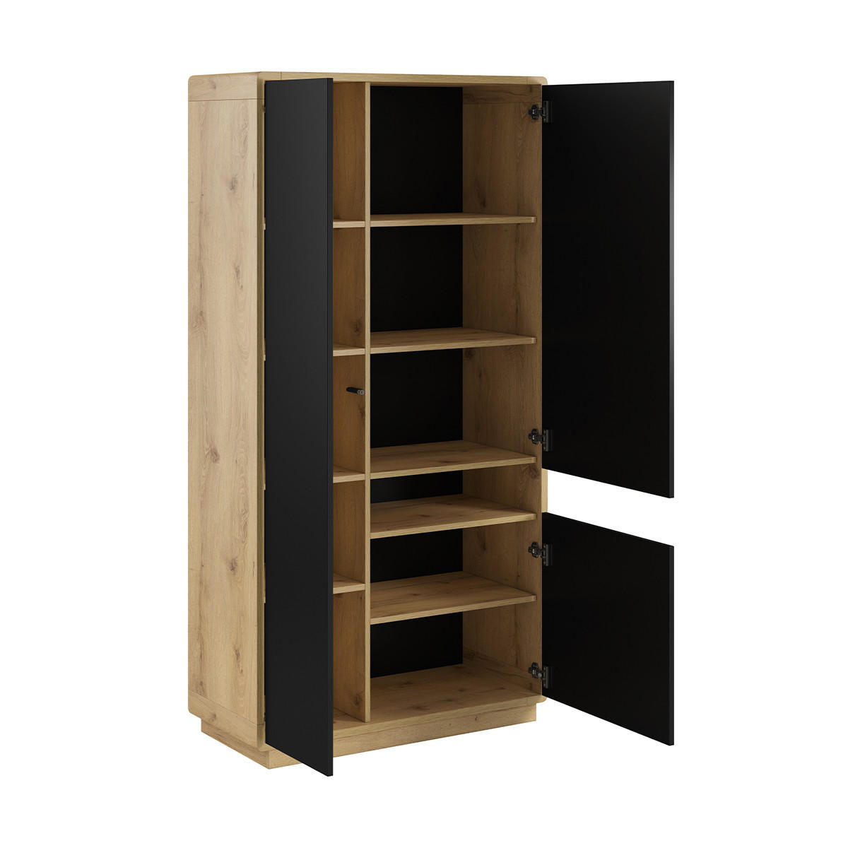 SKŘÍŇ 3DVEŘOVÁ Raven Matná černá a dřevo - černá, kompozitní dřevo (92/181/40cm) - Petits-meubles