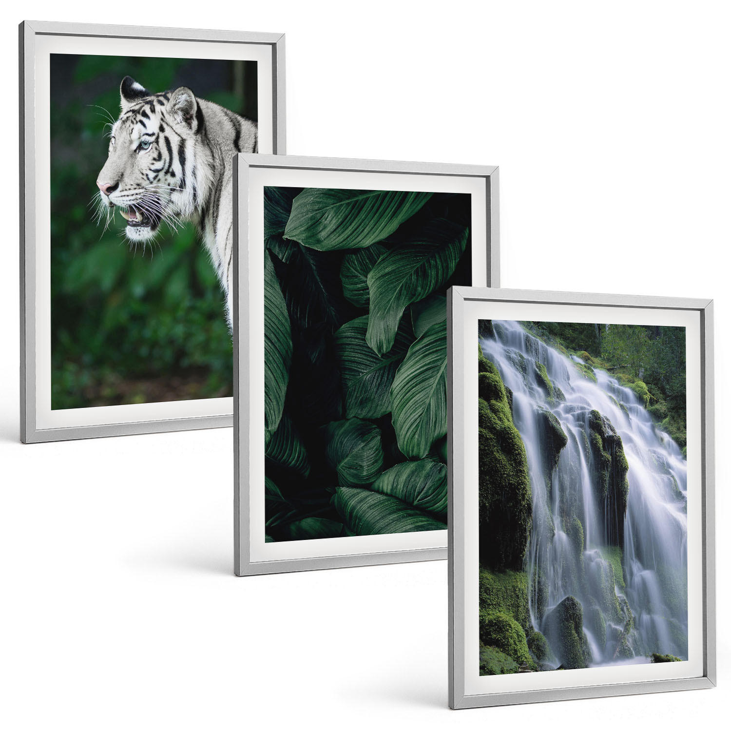 BILDER SET 3er Set - 40x60 cm Silberner Rahmen - Wasserfall aus weißen Tigerblättern - Silberfarben, Kunststoff (40/60cm) - TULUP