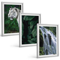 BILDER SET 3er Set - 40x60 cm Silberner Rahmen - Wasserfall aus weißen Tigerblättern - Silberfarben, Kunststoff (40/60cm) - TULUP