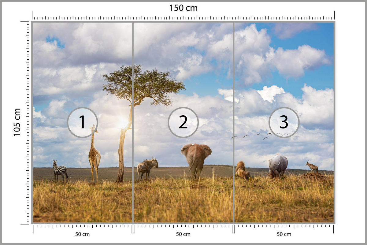 FOTOTAPETE für Kinderzimmer Safari Tiere Elefant Giraffe Löwe 150x105 - Beige/Braun, Papier (150/105cm) - Muralo