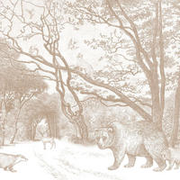 FOTOTAPETE Wald mit Waldtieren 350 x 279 cm - Braun, Papier (350/279cm) - ESTAhome
