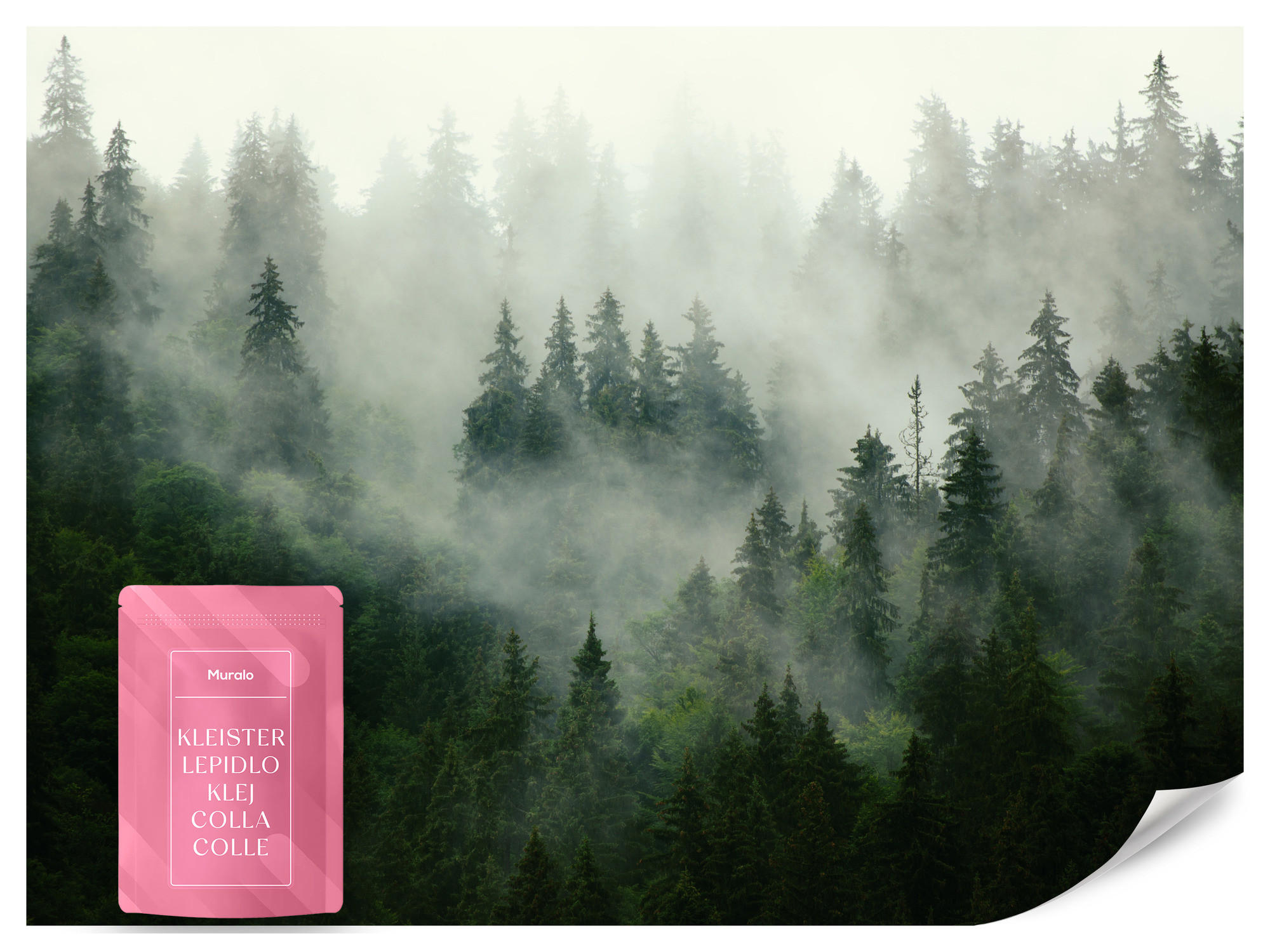 FOTOTAPETE Wald im Nebel Natur Landschaft 3D 450x315 - Grau/Grün, Papier (450/315cm) - Muralo