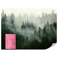 FOTOTAPETE Wald im Nebel Natur Landschaft 3D 450x315 - Grau/Grün, Papier (450/315cm) - Muralo