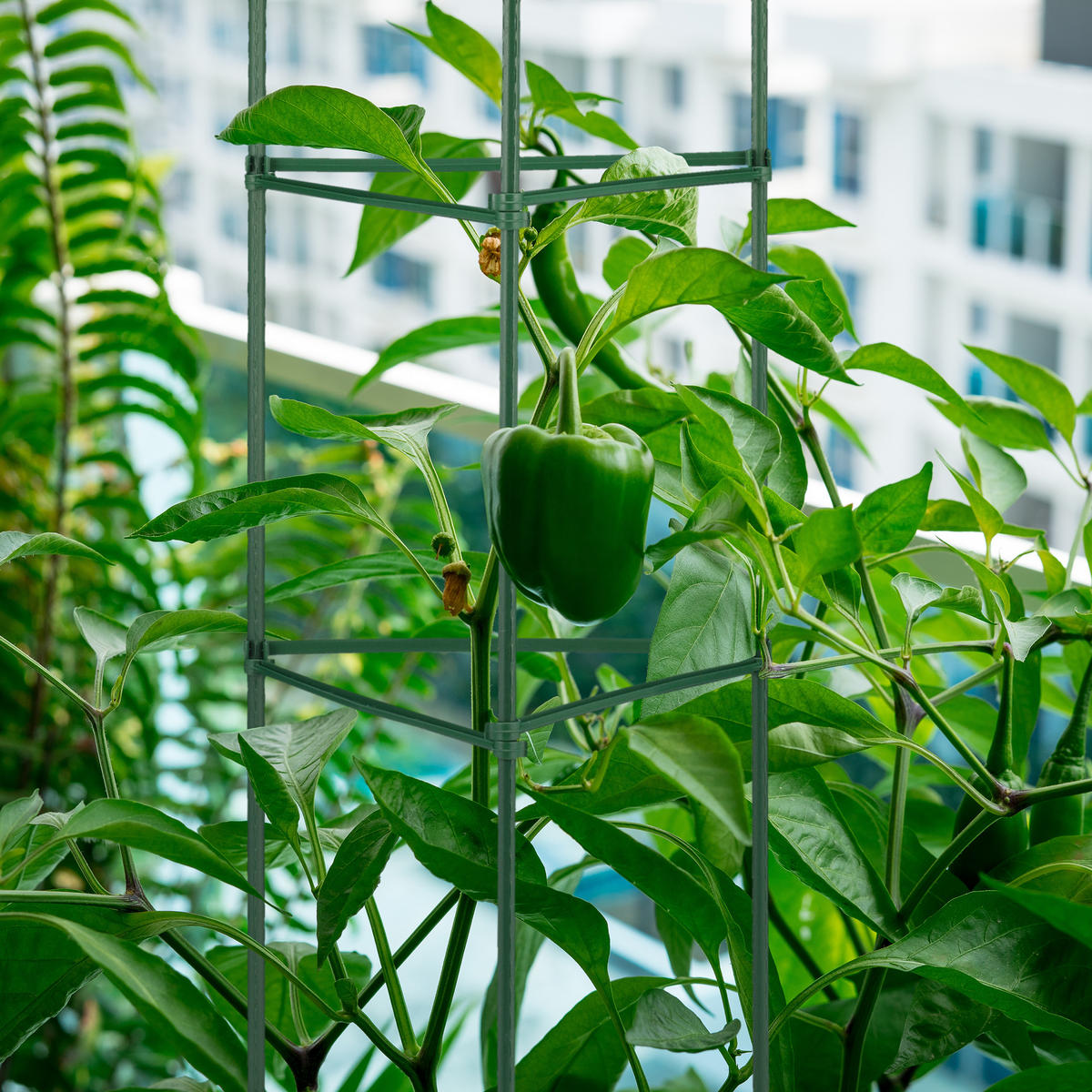 4XRANKHILFE - Dunkelgrün, Kunststoff/Metall (32/150/32cm) - Relaxdays