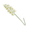 BLUME Orchstem - Weiß, Kunststoff (6cm) - home&you