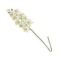 BLUME Orchstem - Weiß, Kunststoff (6cm) - home&you