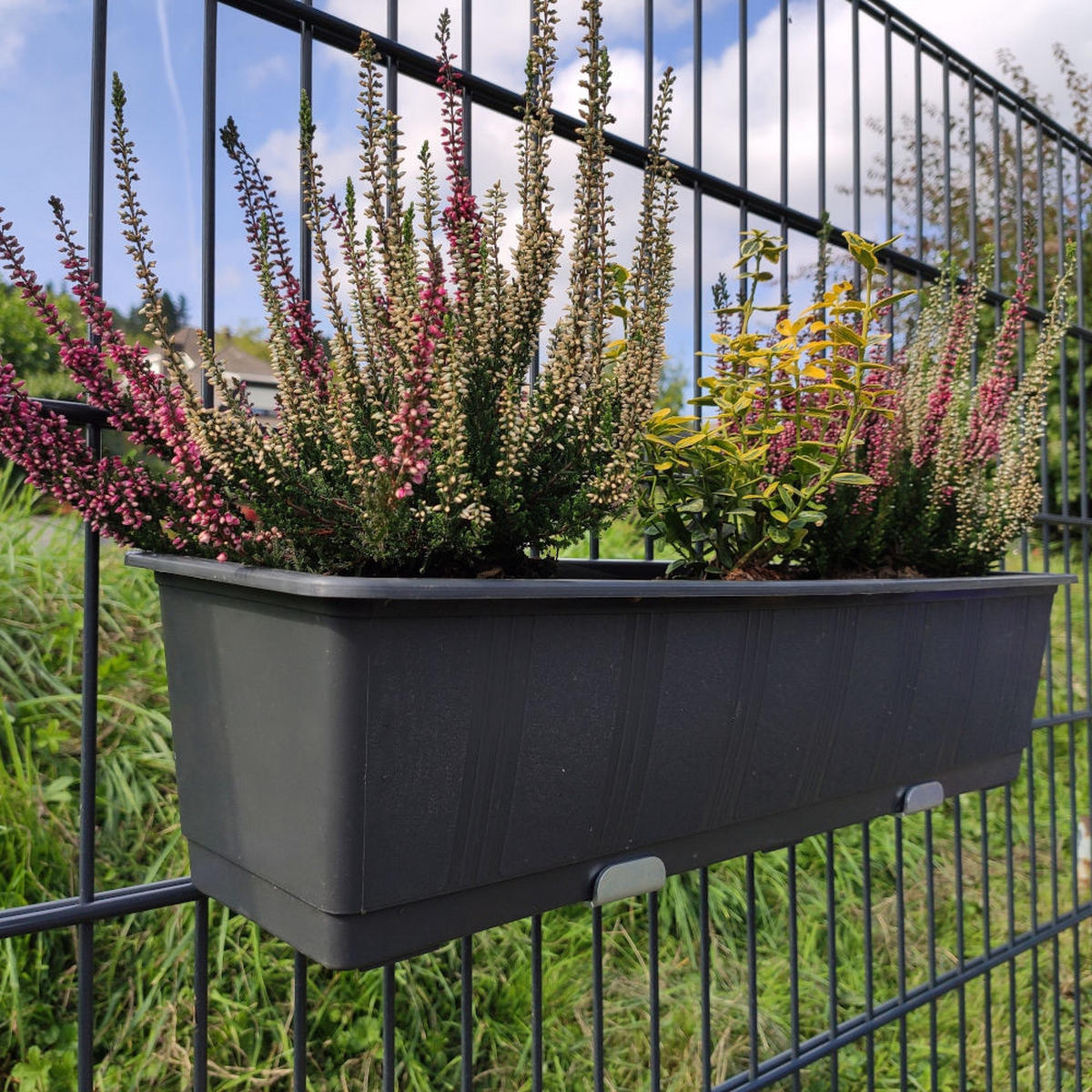 BEFESTIGUNGSSET Blumenkasten Halterung für den Doppelstabzaun Anthrazit (RAL 7016) - Anthrazit, Metall (13/4.4cm) - ZAUNIVERSUM