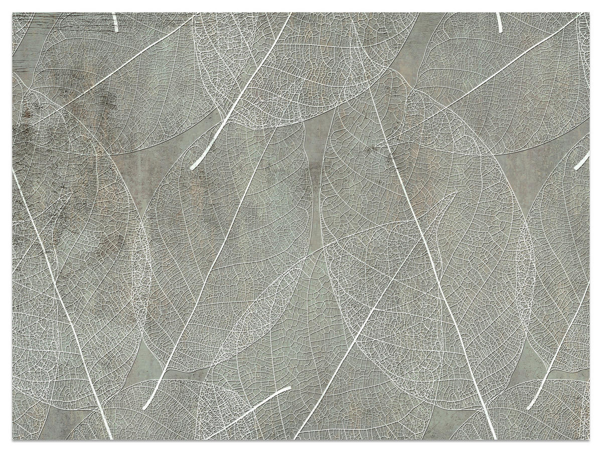 FOTOTAPETE für Schlafzimmer Weiße Blätter auf Beton 150x105 - Weiß/Grau, Papier (150/105cm) - Muralo