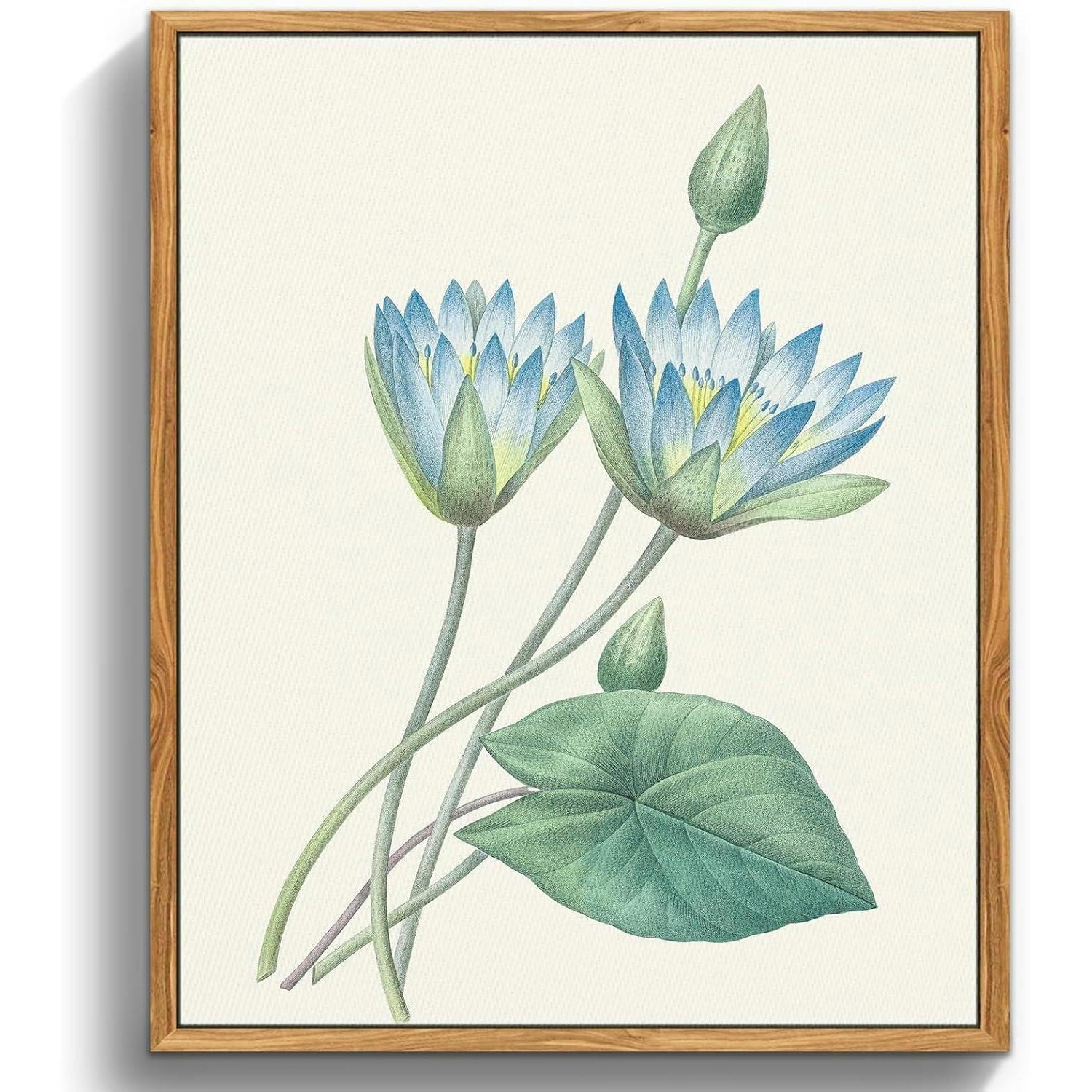 LEINWANDBILD Blauer Lotus mit Rahmen Holz 30 x 40 cm - Blau, Holz (30/0.5cm)
