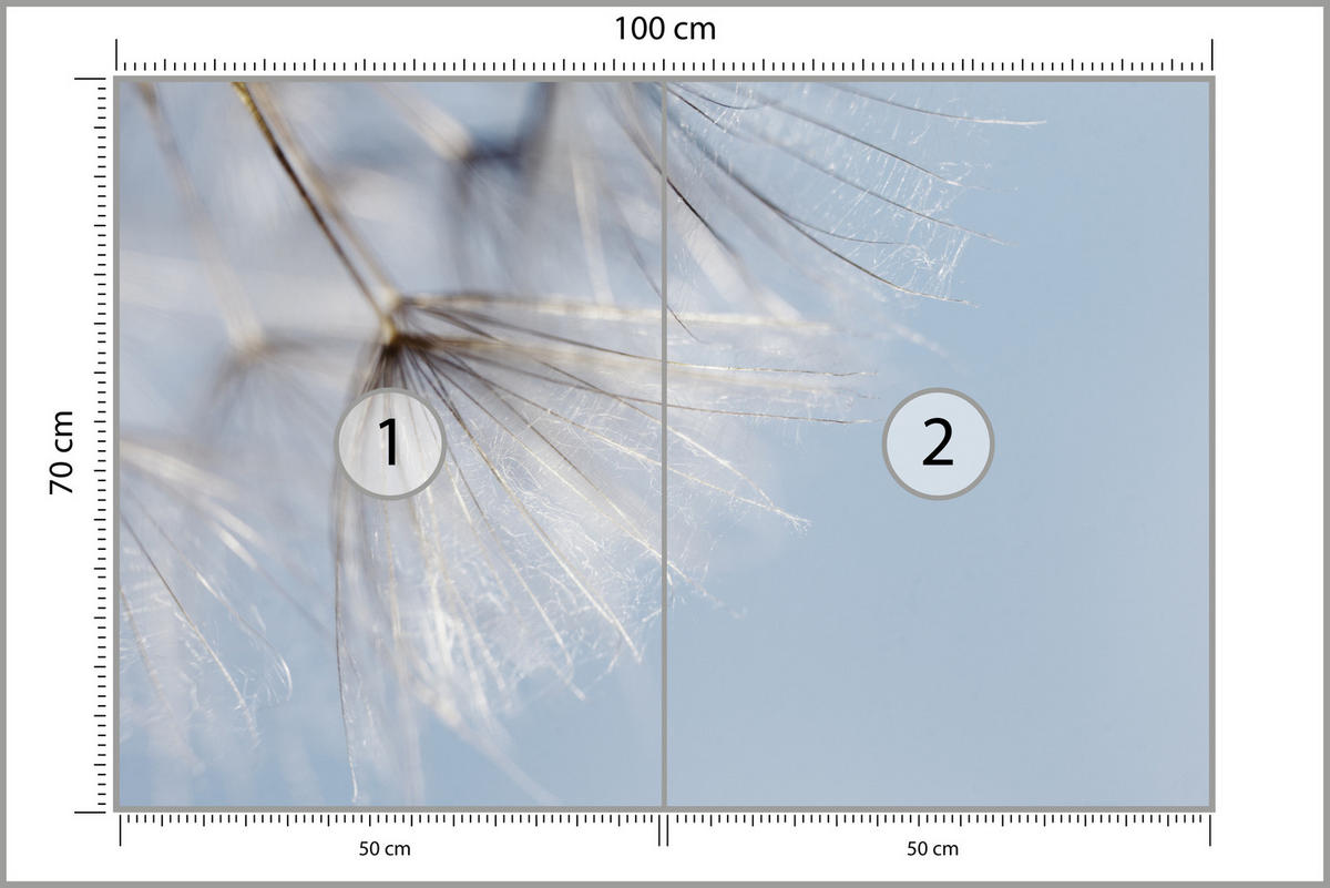 FOTOTAPETE für Schlafzimmer Zarte Löwenzahnblüten im Wind 100x70 - Braun/Weiß, Papier (100/70cm) - Muralo