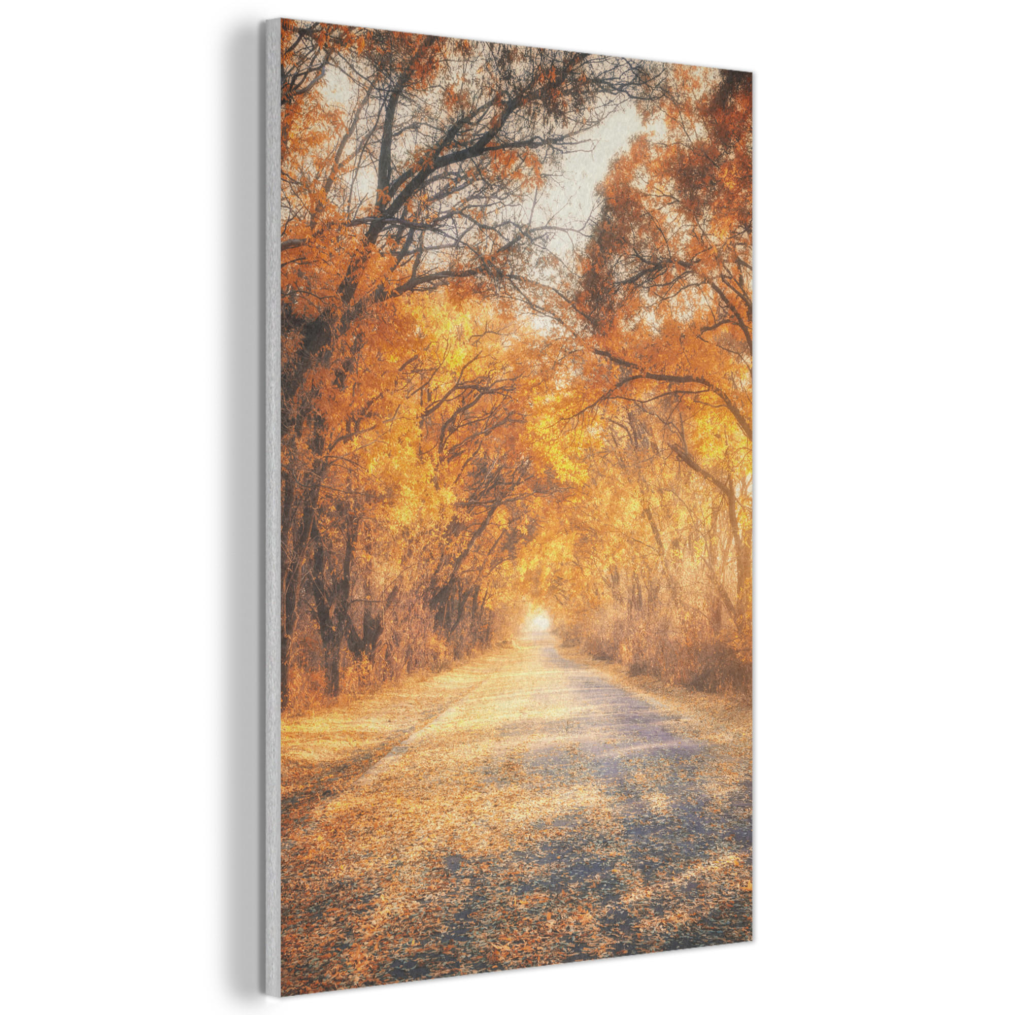 AKUSTIKBILD Wald - Herbst - Bäume - Waldweg - Natur Wanddeko 60x90 cm - Bernsteinfarben, Kunststoff (60/90/0.9cm) - MuchoWow