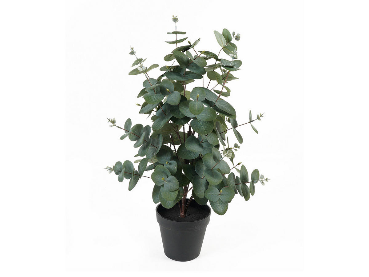 KÜNSTLICHER EUKALYPTUS Eden 54 cm - Grün, Kunststoff (54cm) - Present Time