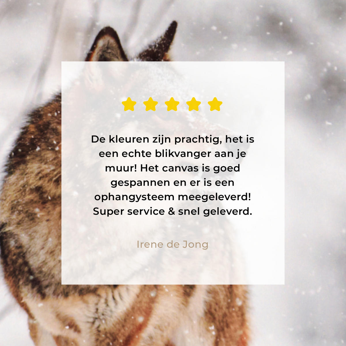 LEINWANDBILD Wolf - Winter - Schnee - Natur - Tiere Room Decor 30x40 cm - Haselnussfarben, Textil (30/40cm) - MuchoWow