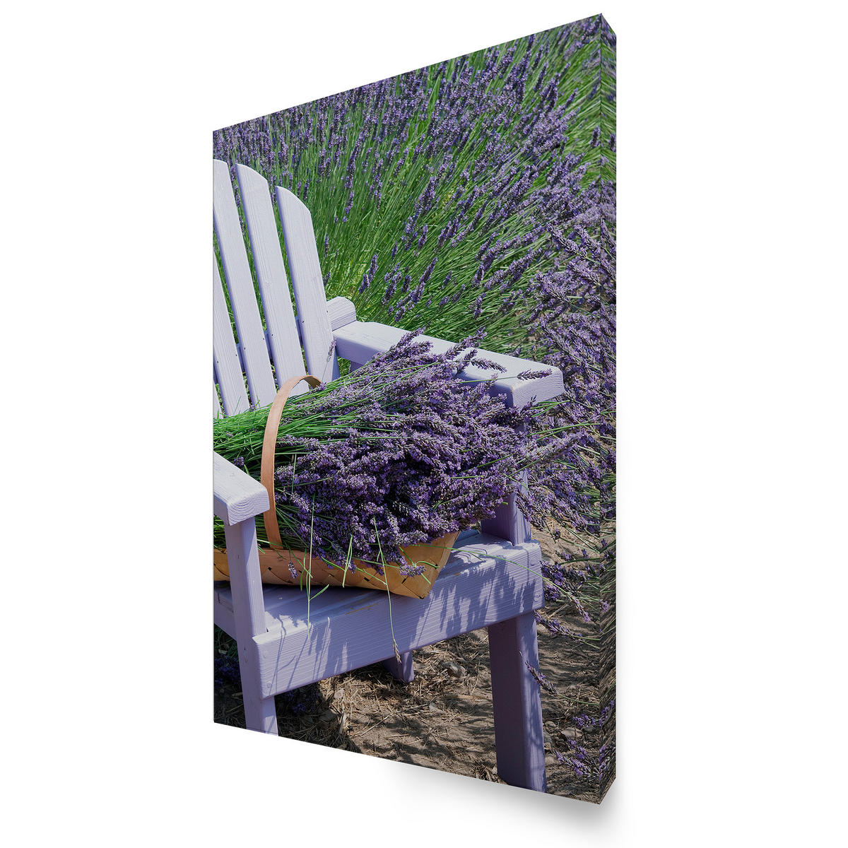LEINWANDBILD Lavendelstuhl 70x50cm - Lila/Weiß, Textil (70/1cm) - Art for the Home