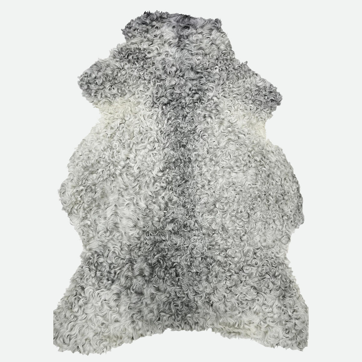 SCHAFFELL Gotland Naturgrau Lockig Unikat ca. 100 cm - Hellgrau, Fell (60/100cm) - Provellus