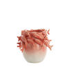 VASE Fisch Rot Ø29/27 cm - Rot, Keramik (27cm) - Light & Living