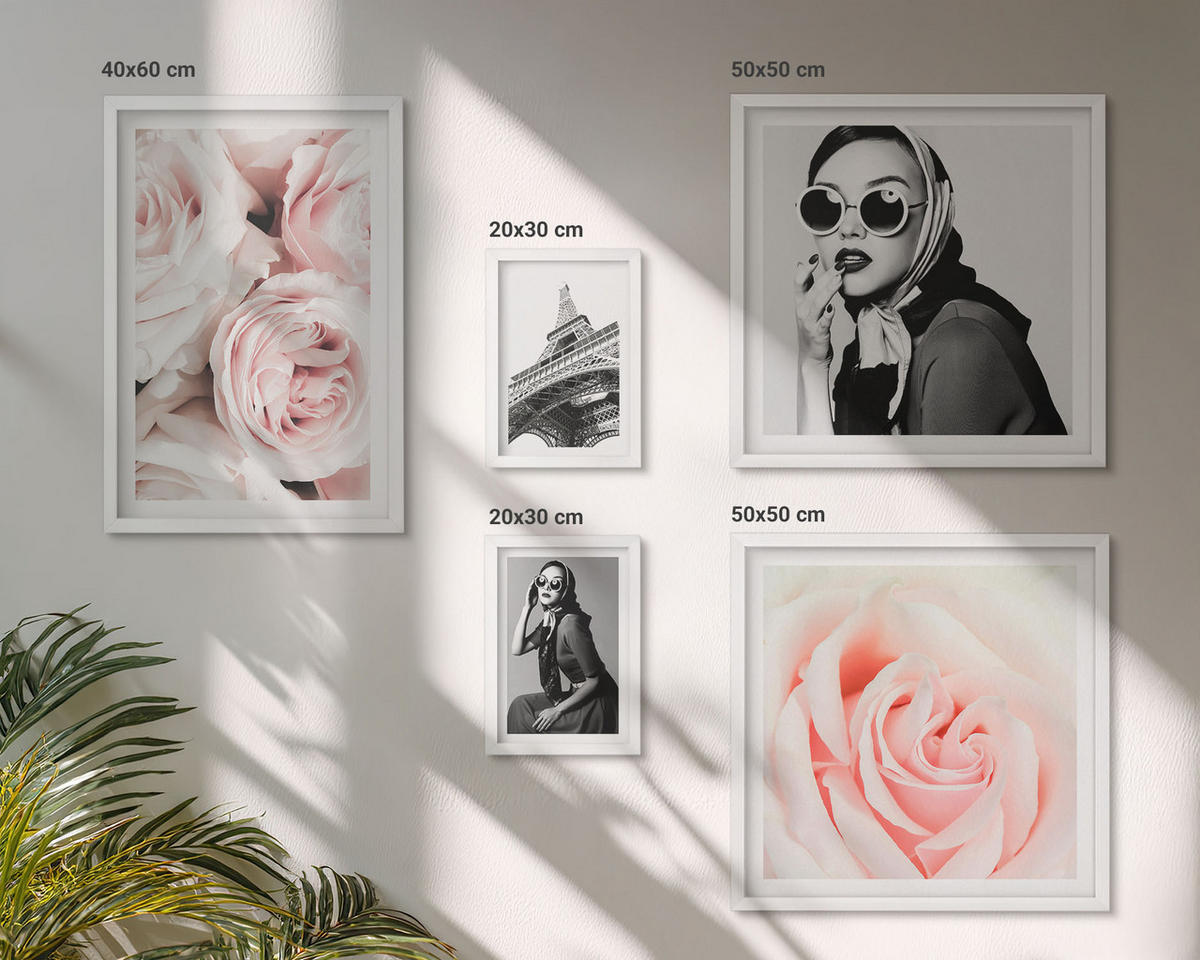 WANDBILDER 5er-Set - 50x50 cm & 20x30 cm & 40x60 cm Weißer Rahmen - Blumen, Pfingstrosen, Rosen, Eleganz - Weiß, Kunststoff (40/60cm) - ArtPrintCave