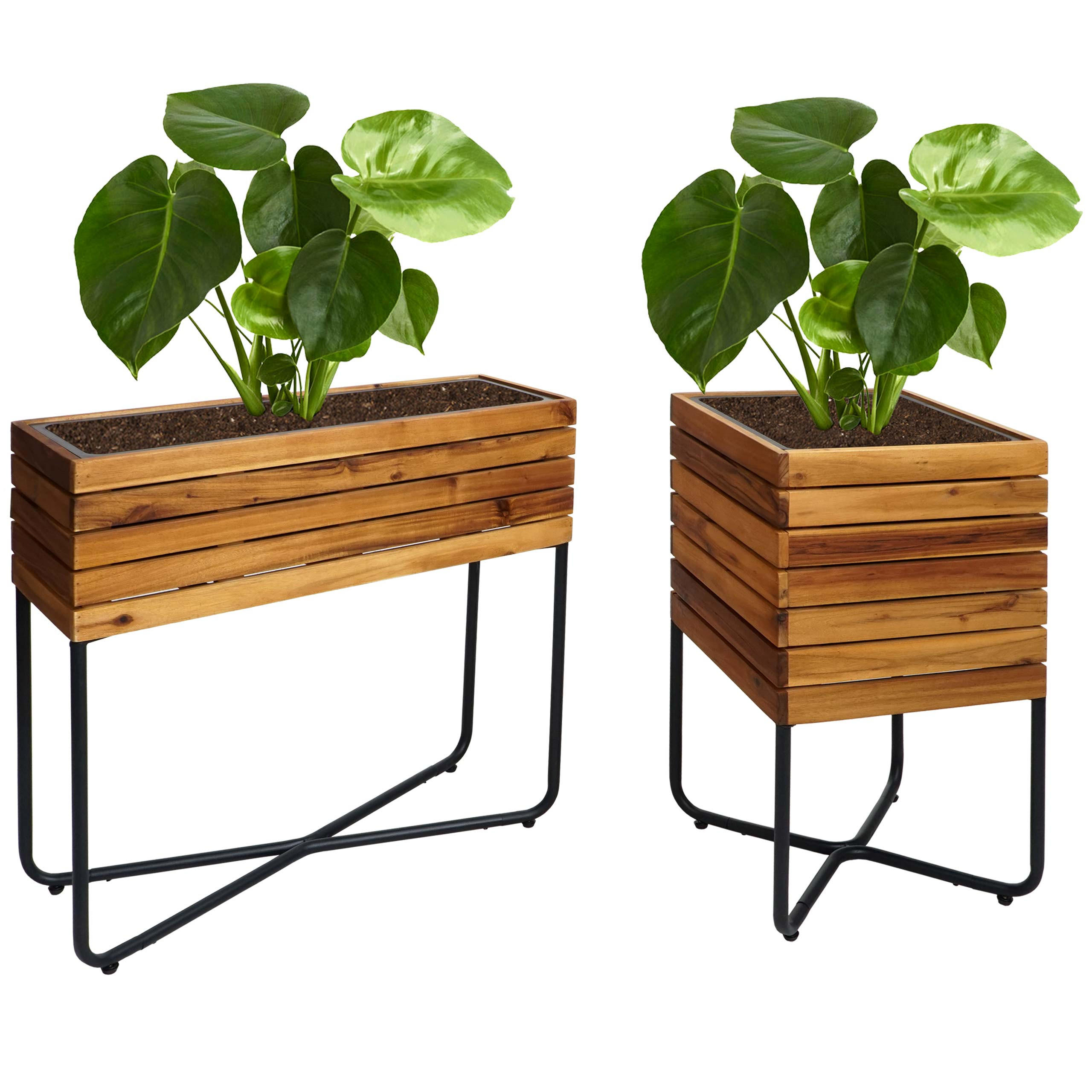Proregal Pflanzkasten Braun 33x60x33 cm
