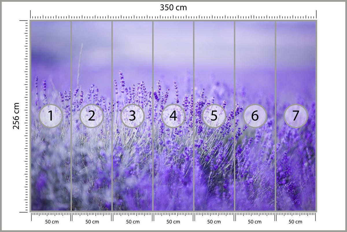 FOTOTAPETE für Küche Lavendelwiese Blüten Fliederfeld 350x256 - Violett/Lila, Papier (350/256cm) - Muralo