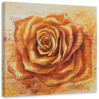 LEINWANDBILD, Orangefarbener Rosenkopf - Orange, Textil (30/30cm) - Feeby