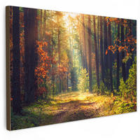 LEINWANDBILD Wald - Herbst - Bäume Wohnzimmer 120x80 cm - Dunkelgrün, Textil (120/80cm) - MuchoWow