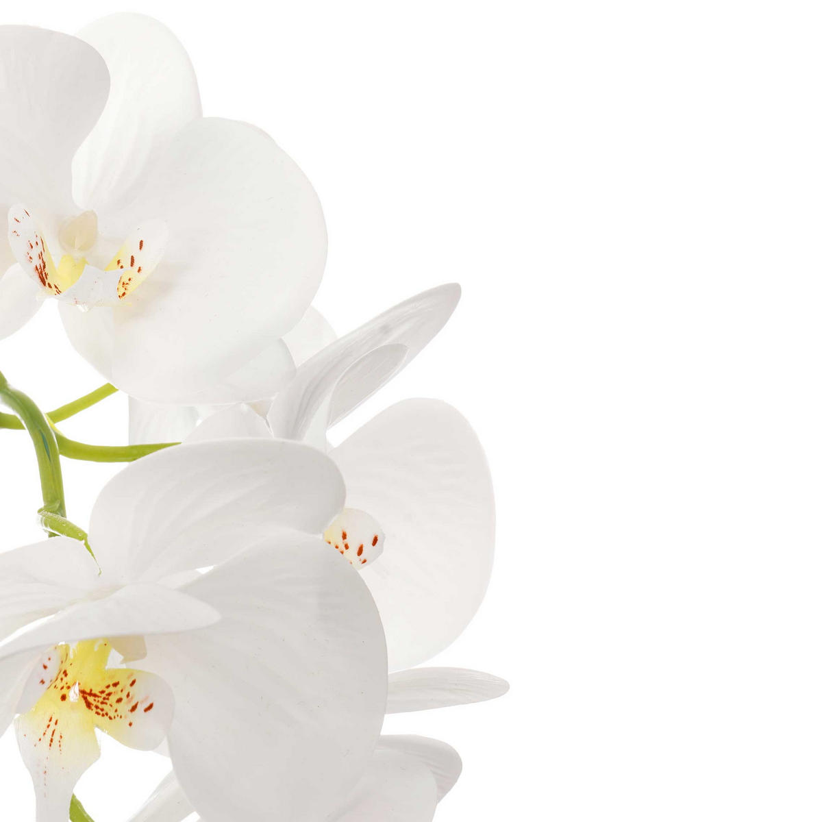 KÜNSTLICHE ORCHIDEE Zementtopf Orchi 49 cm - Multicolor, Kunststoff (49cm) - Ibergarden