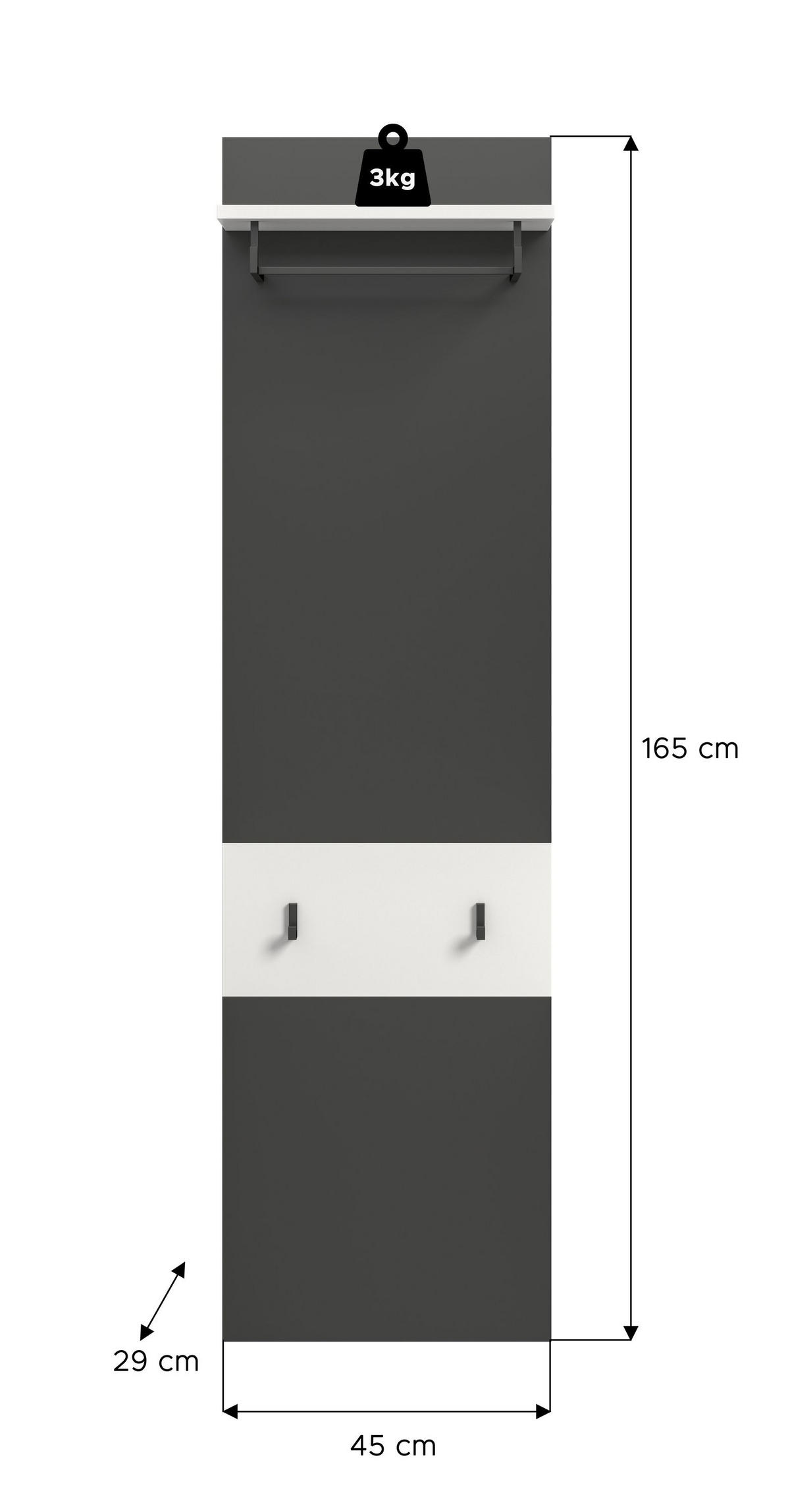 PANEEL CANU (B/H/T: ca. 45/165/29 cm) in Basalt grau/weiß - Grau, Holzwerkstoff (45/165/29cm)