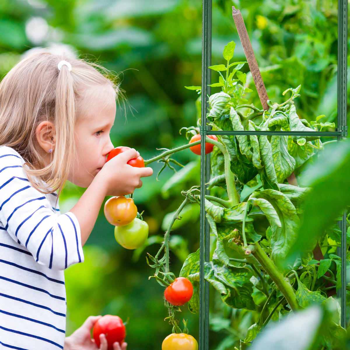 4XRANKHILFE - Dunkelgrün, Kunststoff/Metall (32/150/32cm) - Relaxdays