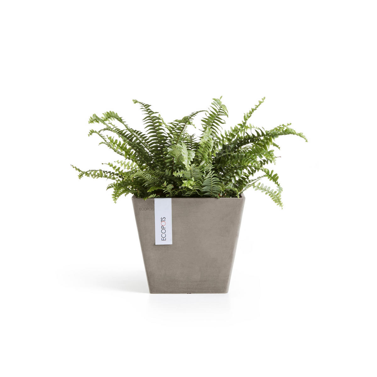 BLUMENTOPF Rotterdam 20,3/20,3/17,8 cm Taupe - Taupe, Kunststoff (20.3/17.8cm) - Ecopots