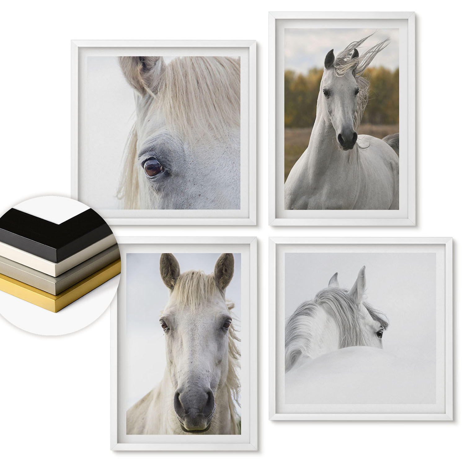 WANDBILDER 4er-Set - 50x50 cm & 40x60 cm Weißer Rahmen - Weiße Pferde - Weiß, Kunststoff (50/50cm) - ArtPrintCave