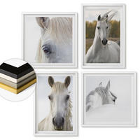 WANDBILDER 4er-Set - 50x50 cm & 40x60 cm Weißer Rahmen - Weiße Pferde - Weiß, Kunststoff (50/50cm) - ArtPrintCave