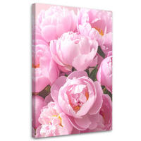 BILDER, Rosa Pfingstrosen Blumen Natur - Rosa, Textil (60/90cm) - Feeby