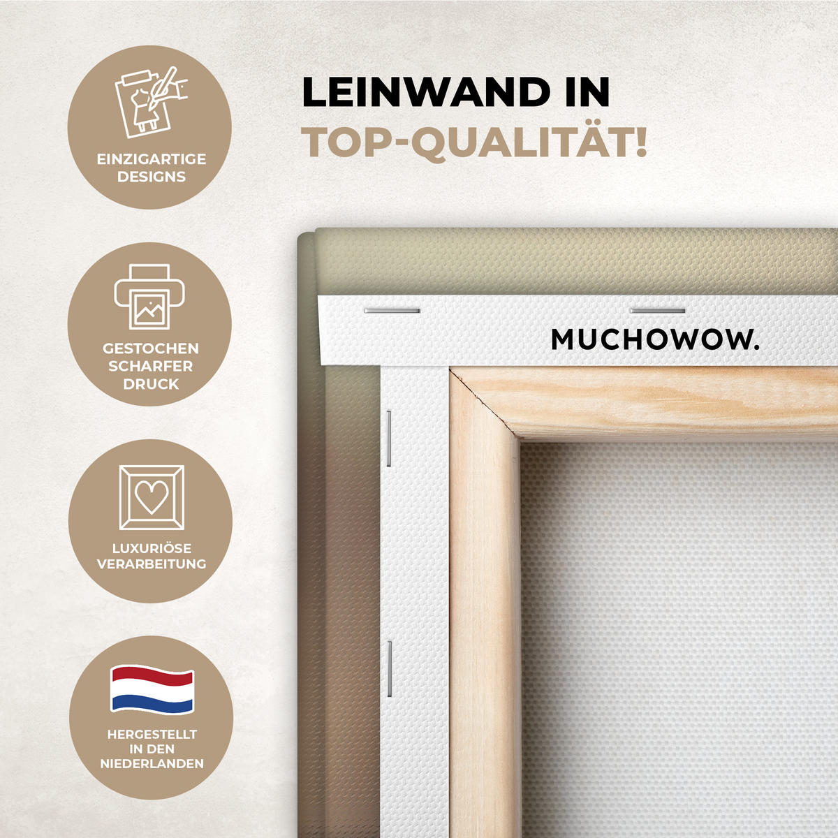 LEINWANDBILD Löwenzahn - Beige - Natur - Blume 50x50 cm - Hellbraun, Textil (50/50cm) - MuchoWow