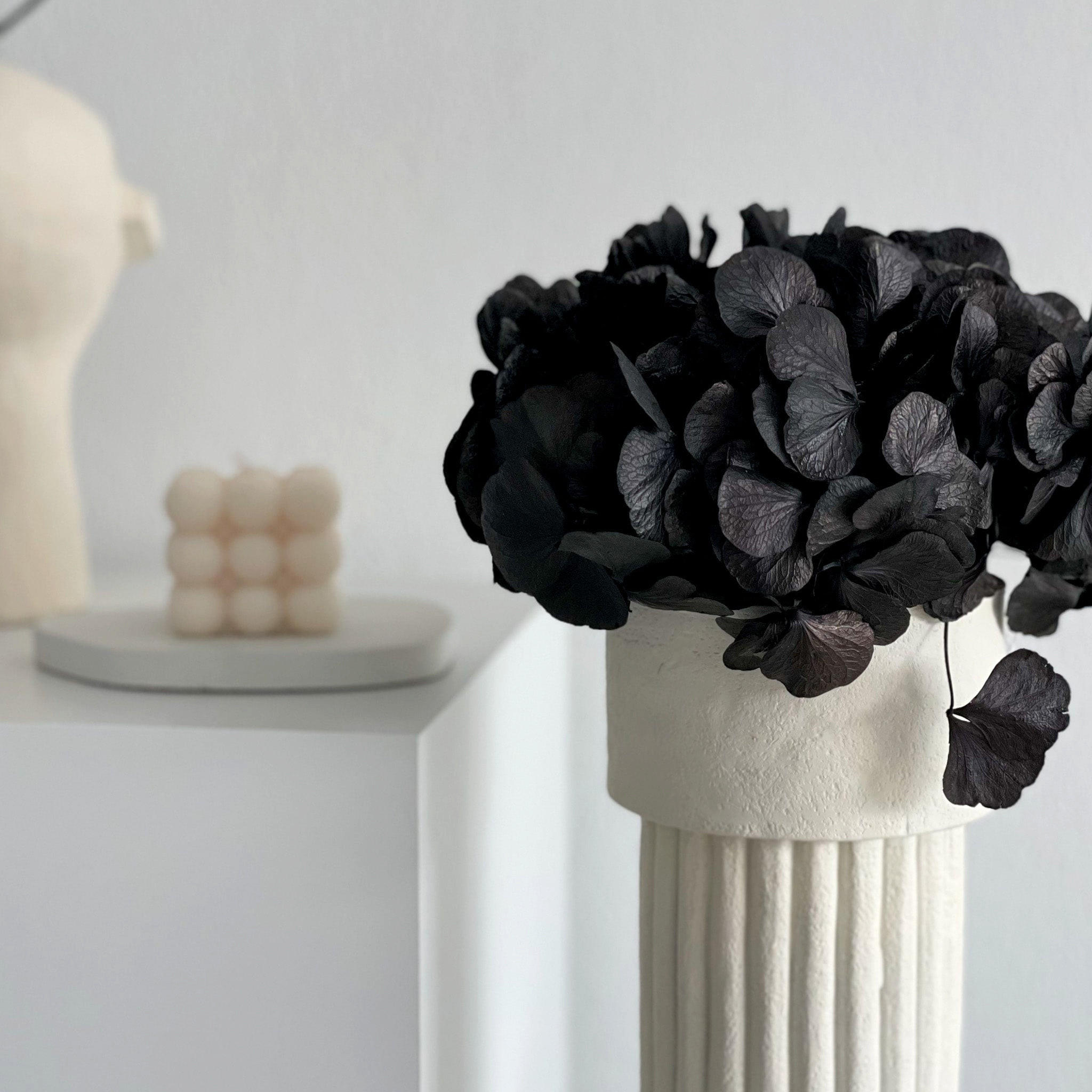 HORTENSIE: Zeitlose Schönheit, konservierte Hortensien als perfekte Dekoration - schwarz / 30 cm - Schwarz, Naturmaterialien (30cm) - Lykke & You