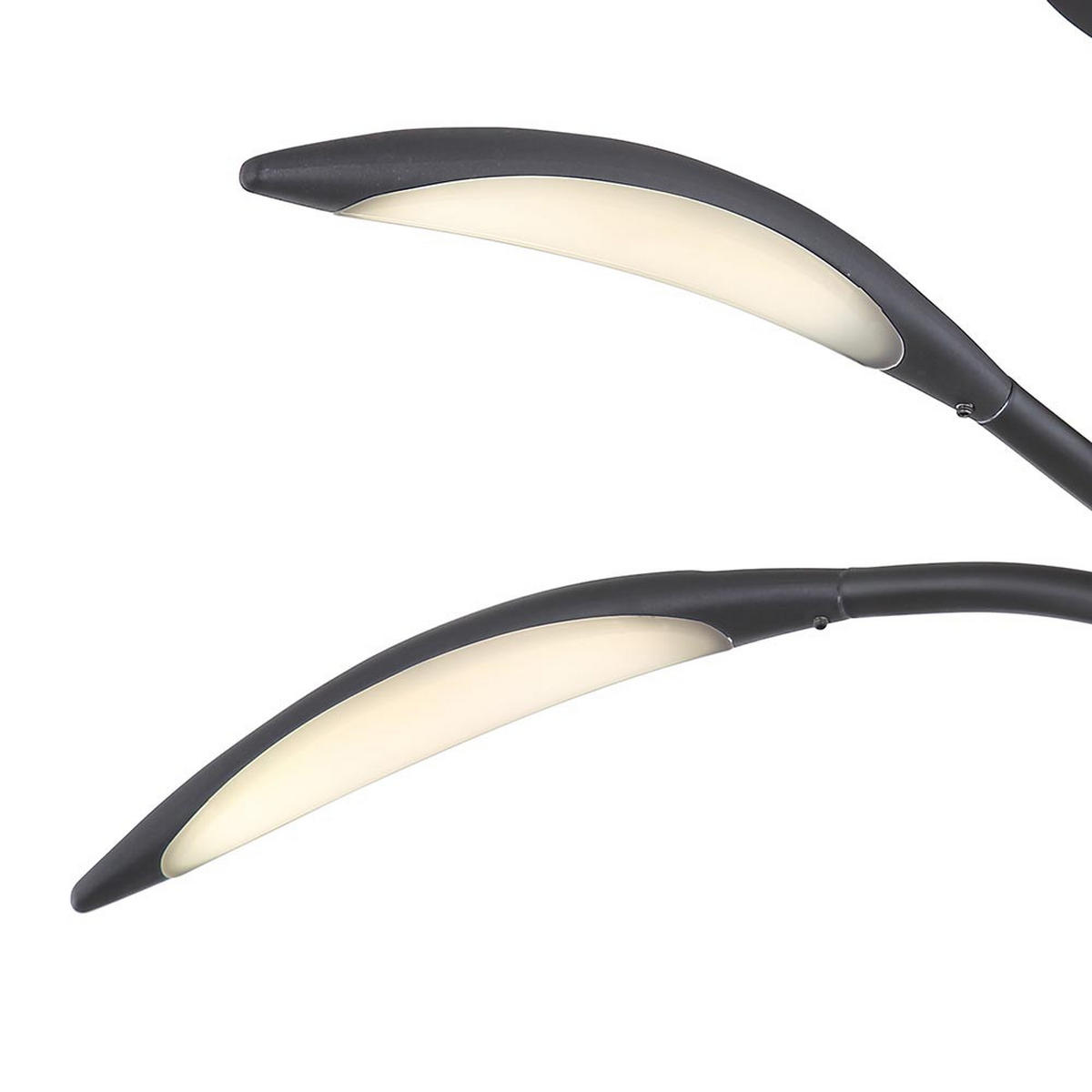 LED DECKENLEUCHTE KAELA Schwarz - Schwarz, Metall (68/68/33cm) - Globo Lighting