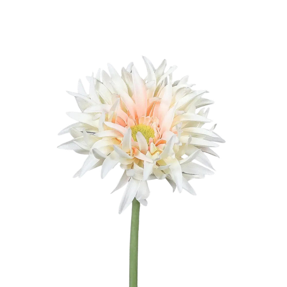 GERBERA Künstliche Gerbera gefranzt - Hajo 57 cm - Orange, Kunststoff (57cm) - aplanta
