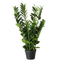 KUNSTPFLANZE Zamioculcas 76 cm - Grün, Kunststoff (76cm) - Boltze Home