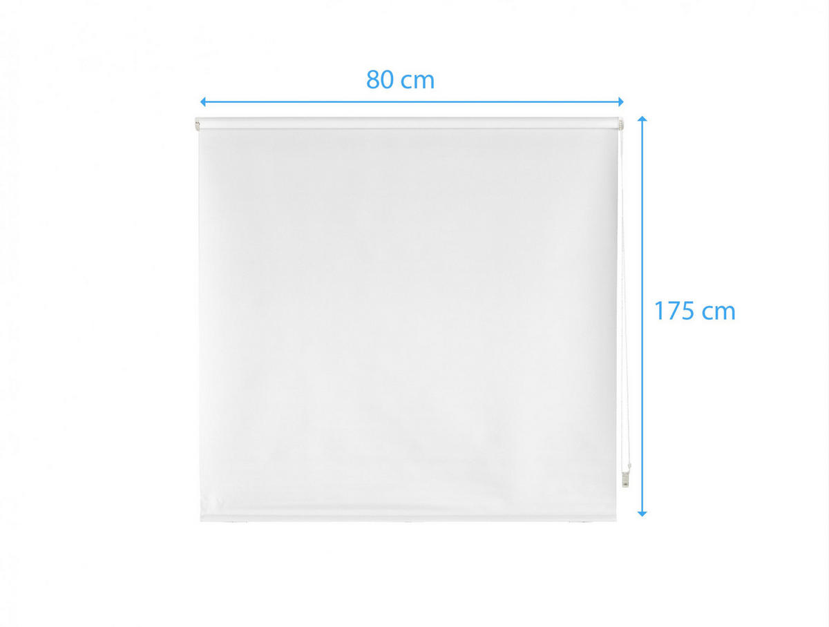 ROLLO Polyester Transluzent Weiß 80x175 - Weiß, Textil (80/175/1cm) - Purline
