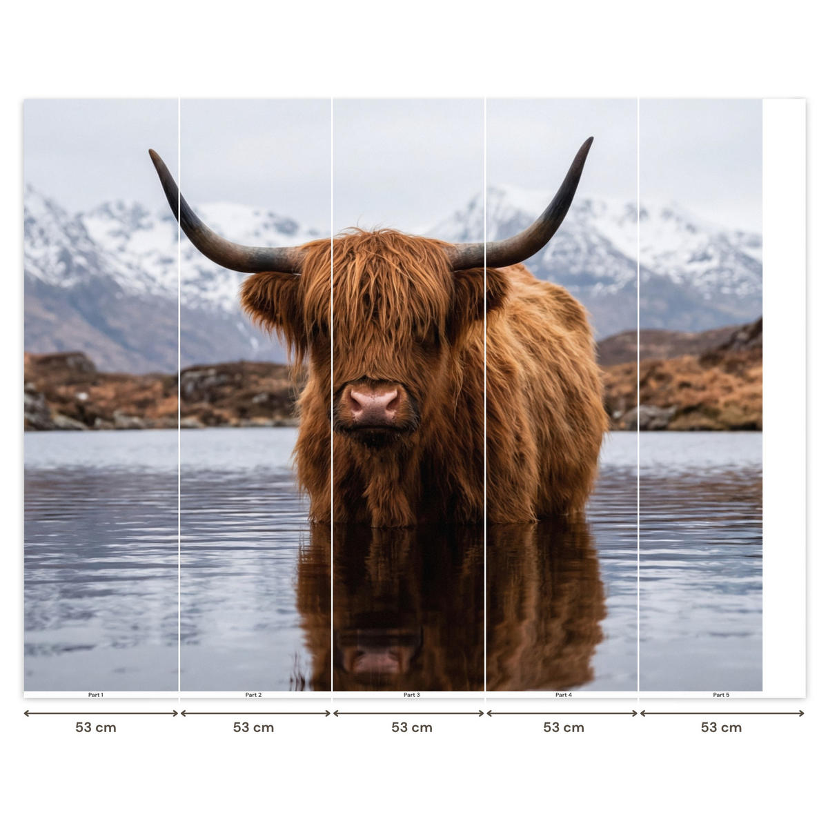 TAPETE - Schottischer Hochländer - Braun - Wasser - 240x200 cm - Braun, Papier (240/200cm) - OnlyWow
