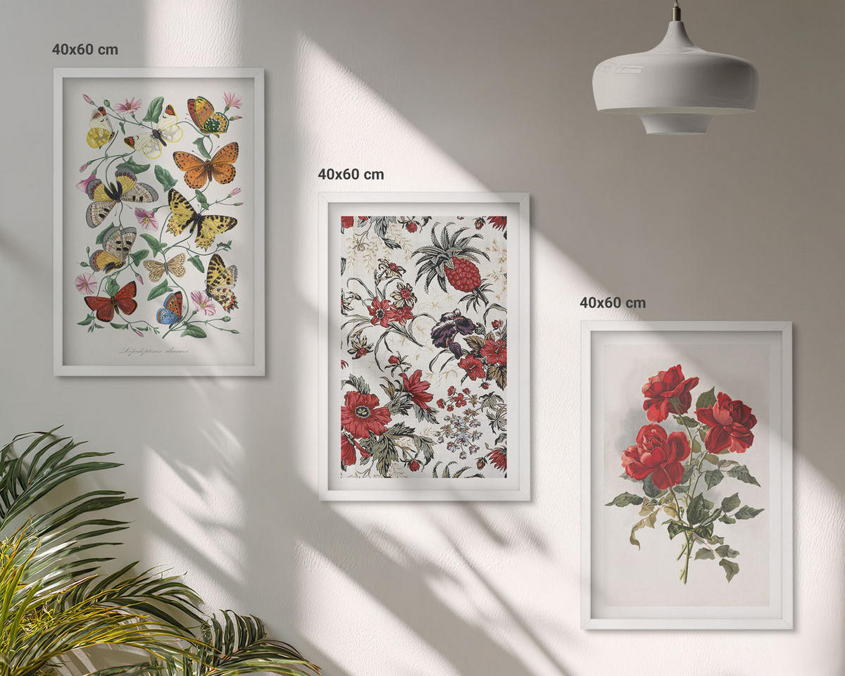 BILDER SET 3er Set - 40x60 cm Weißer Rahmen - Schmetterlinge, Blumen, rote Rosen - Weiß, Kunststoff (40/60cm) - TULUP