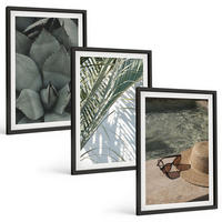 BILDER SET 3er Set - 40x60 cm Schwarzer Rahmen - Tropische Pflanzen für den Urlaub - Schwarz, Kunststoff (40/60cm) - TULUP