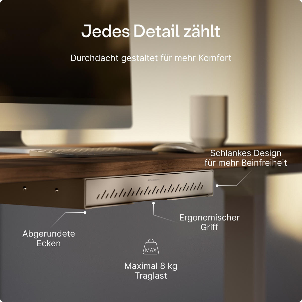 SCHUBLADEN-ORGANIZER unter dem Schreibtisch, 41x27x5cm Grau - Grau, Metall (41/27/5cm) - Desktronic